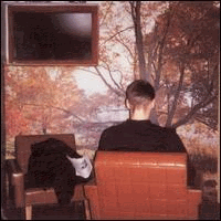 img17.gif